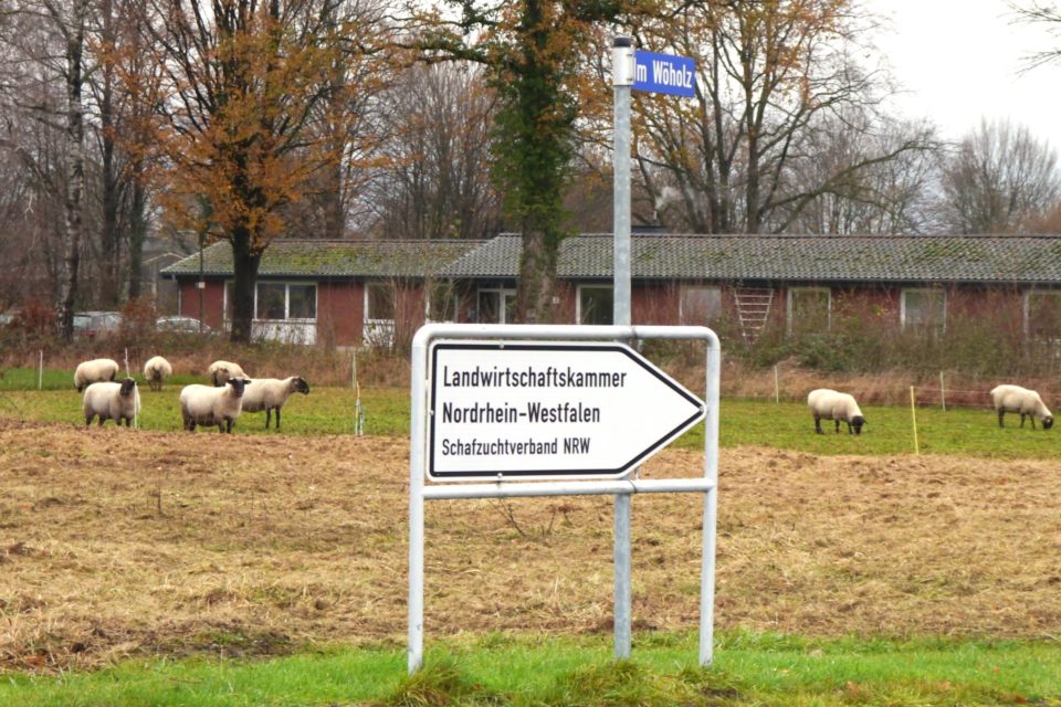 Foto: Hinweisschild zur Geschäftsstelle des Schafzuchtverbandes NRW in Lippstadt Eickelborn (© Markus Barkhausen)