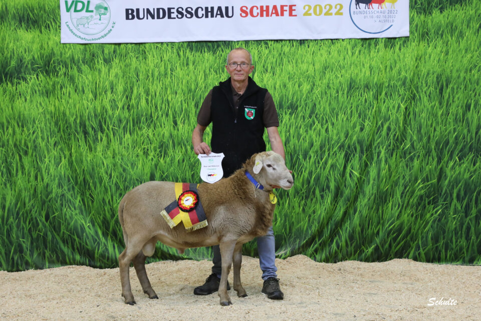Champion der Haar- und Milchschafe: 103, Hüttemann, Benedikt (© Heinrich Schulte)