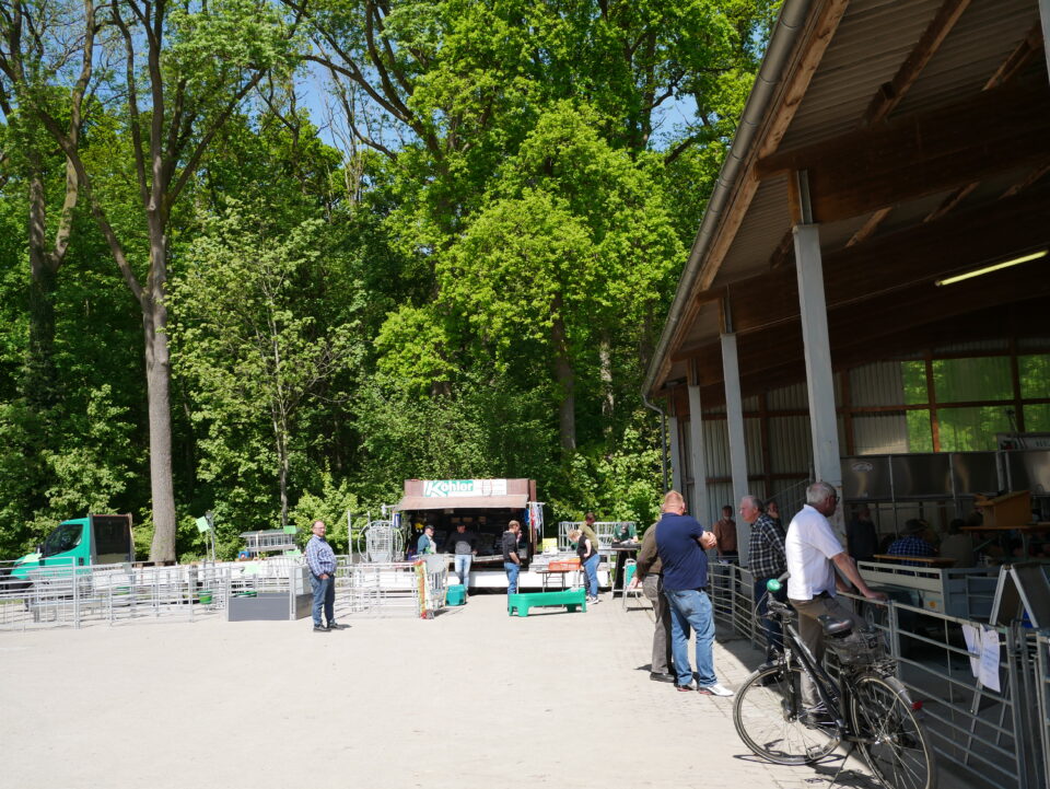Impressionen der Jährlingsbockauktion 2025 auf Haus Düsse (© Schafzüchtervereinigung NRW)