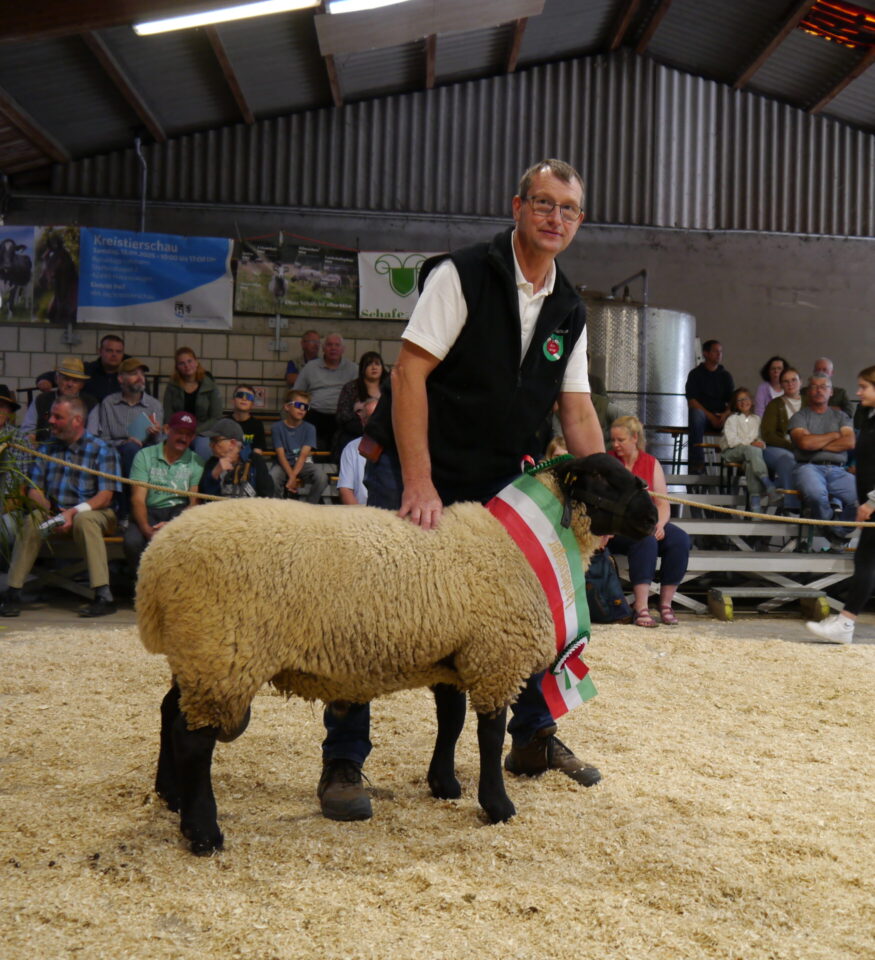 Der Landessieger und Fleischsieger der Fleischschafrassen. Der Lammbock der Rasse Suffolk aus der Zucht Meinolf Koerdt, Beckum. Der Bock mit sehr guter Länge, bestem Zuchtwert & Fundamenten wurde für den Höchstpreis von 1.200 € an eine renommierte Zucht aus Wiedenbrück verkauft.