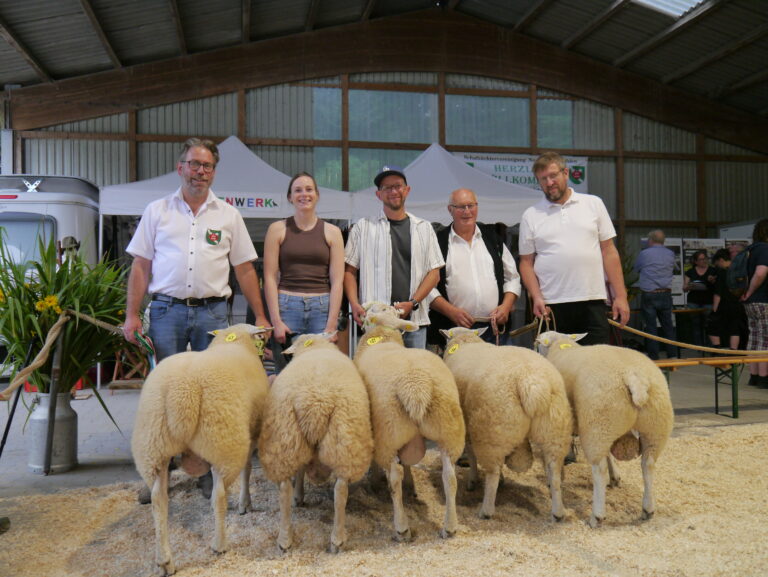 Prämierung der Texel am 16.08.2025