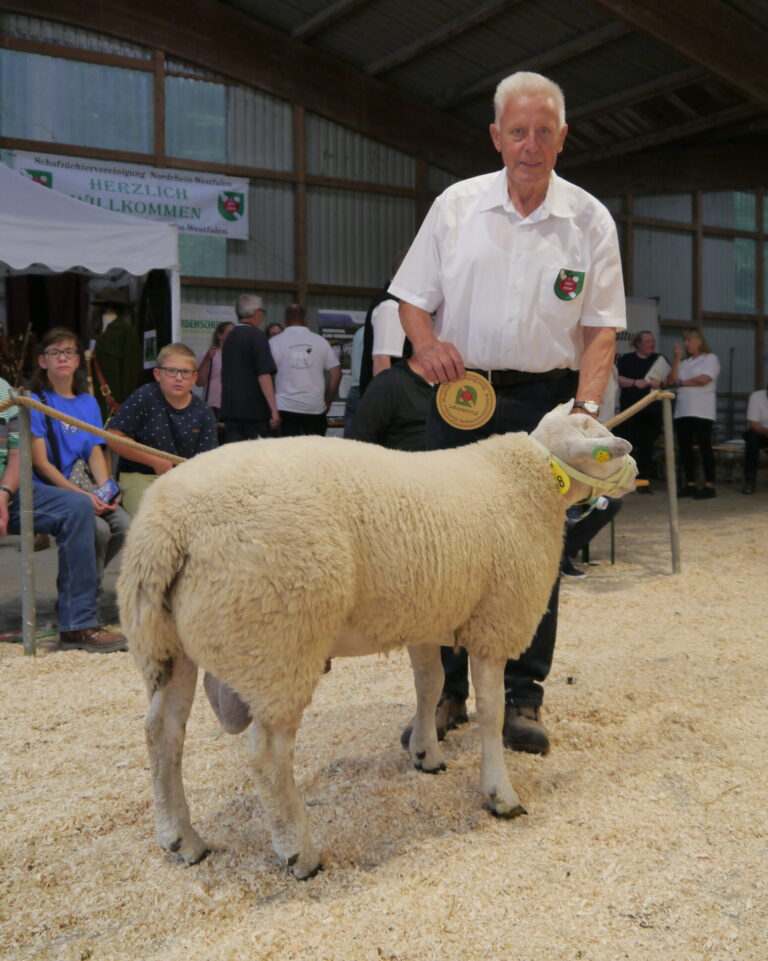 Teuerster Bock der Veranstaltung wurde Katalognummer 48, der Fleischsieger der Texel aus der Zucht von Bernd Brüggemann. Er wurde für 3.100 € verkauft.