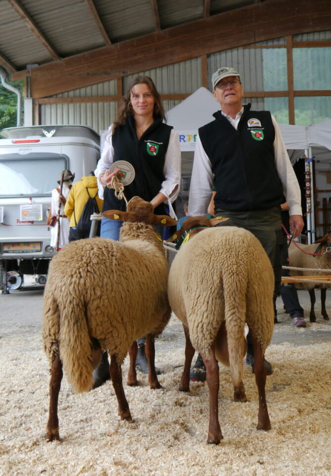 Links der Reservesieger der Rasse COF, ein quelliger Lammbock aus Zucht Steinhoff in Ahlen, vorgeführt von Inka Linnemann. Rechts der Siegerbock – ein Jährlingsbock aus der Zucht Martin Sutter in Herford.