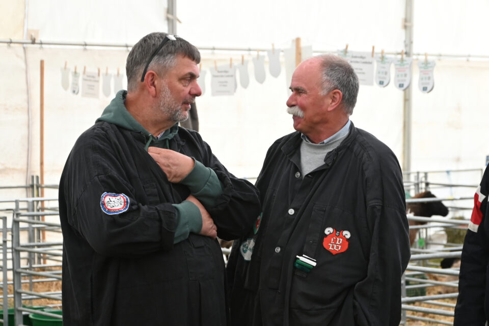 Bundesschau SKU und RPL 2025, Foto Dr. Peter Richterich