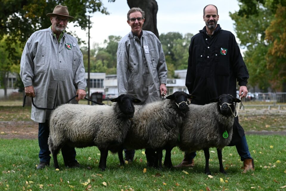 Bundesschau SKU und RPL 2025, Foto Dr. Peter Richterich
