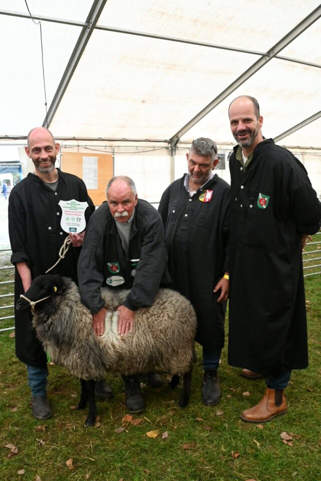 YDA (DE 01 05 112 53099 NW-TR) aus der Zucht Thoms & Richterich GbR, vorgestellt von Holger Thoms-Richterich, Foto: Dr. Peter Richterich