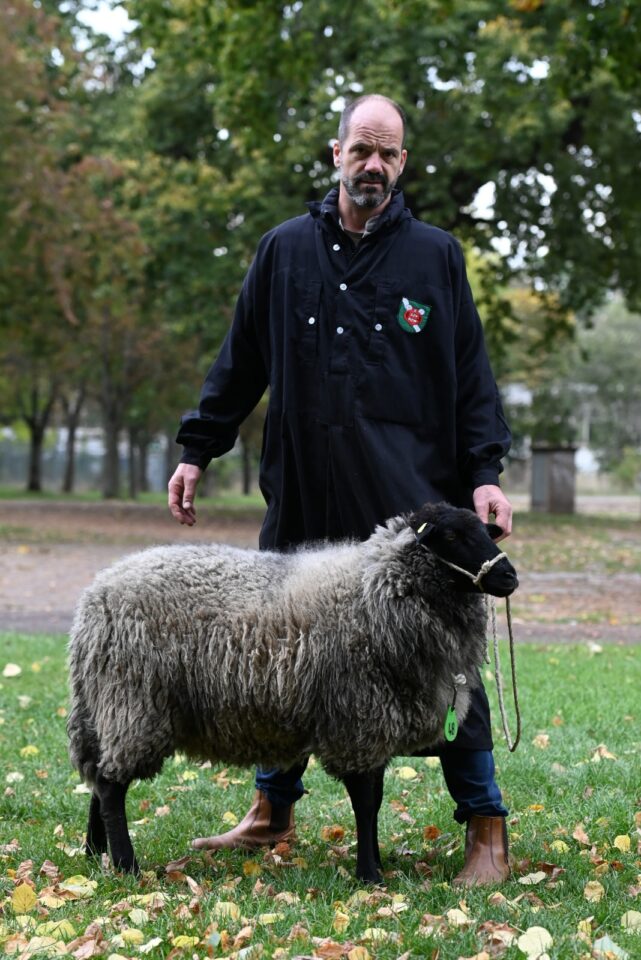 YDA (DE 01 05 112 53099 NW-TR) aus der Zucht Thoms & Richterich GbR, vorgestellt von Holger Thoms-Richterich, Foto: Dr. Peter Richterich