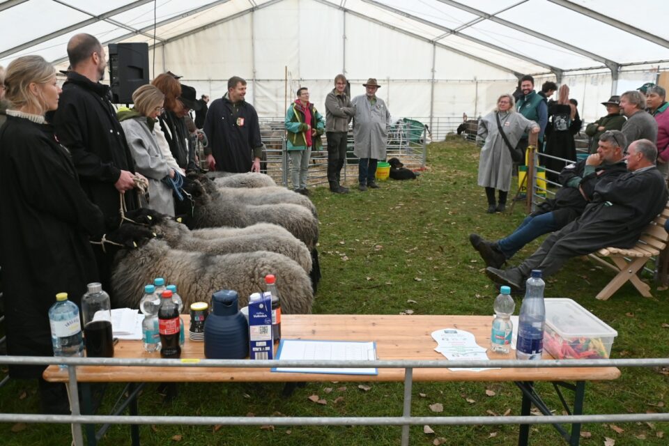 Bundesschau SKU und RPL 2025, Foto Dr. Peter Richterich