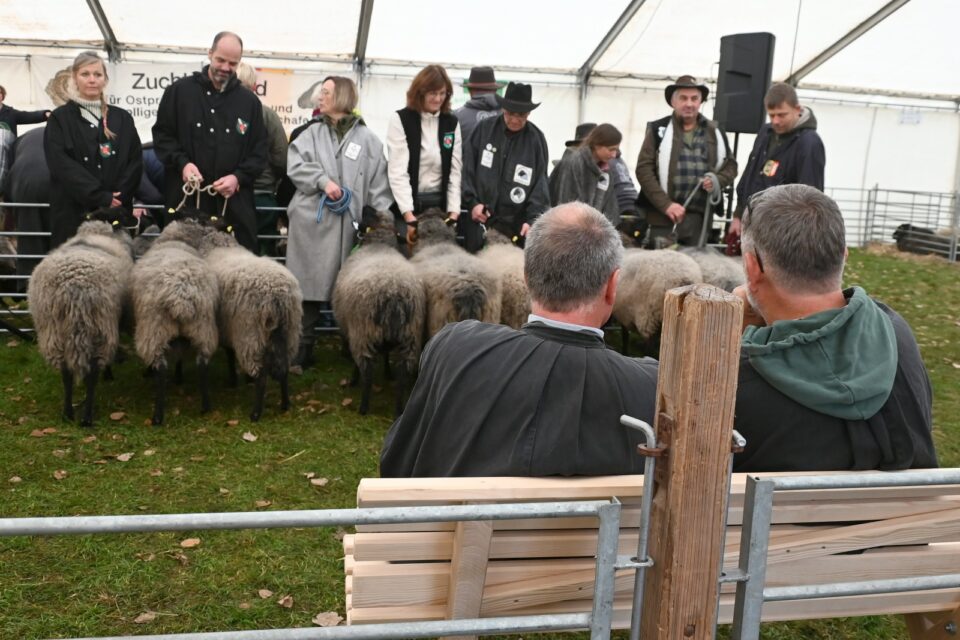 Bundesschau SKU und RPL 2025, Foto Dr. Peter Richterich