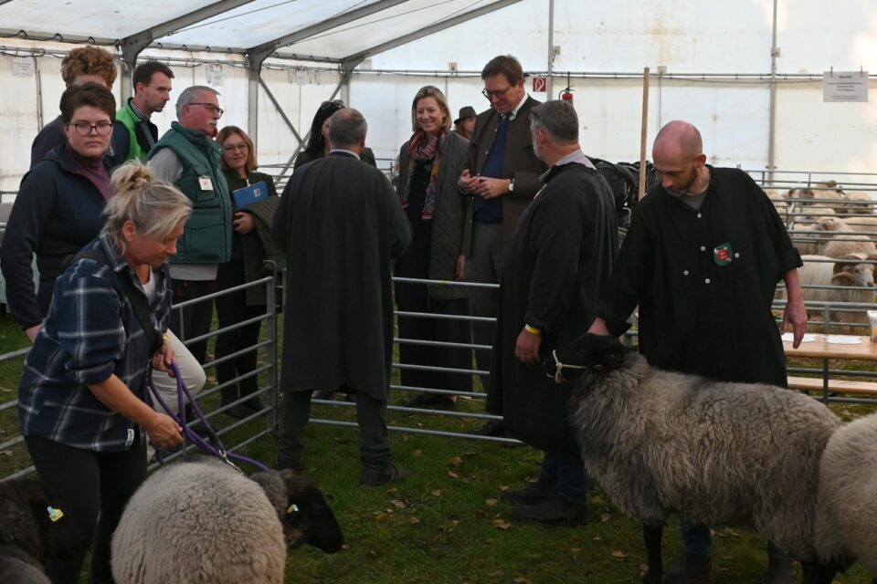 Bundesschau SKU und RPL 2025, Foto Dr. Peter Richterich