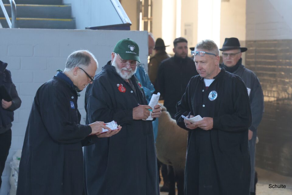 Elite 2026, Preisrichter SKF (Foto: Heinrich Schulte)