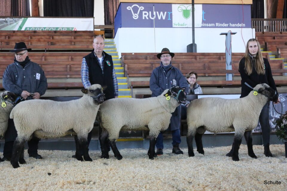 Elite in Krefeld 2026, SKF-Klasse, 1a Zucht PA-Grünland GbR (Foto: Heinrich Schulte)