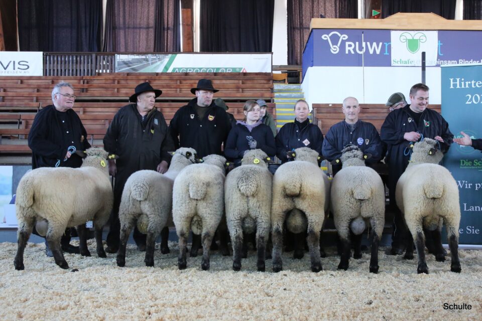 Elite in Krefeld 2026, SKF-Klasse, 1a Zucht Völkel (Foto: Heinrich Schulte)