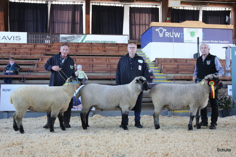 Elite in Krefeld 2026, SKF-Klasse, 1a Zucht Specht (Foto: Heinrich Schulte)