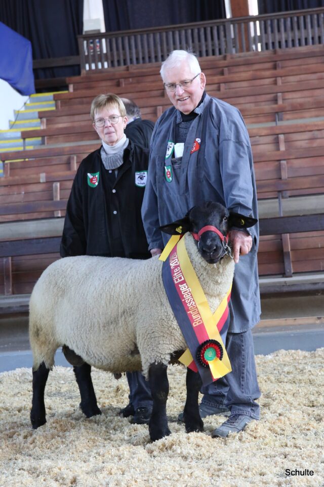 Stark bemuskelt, rahmig und korrekt in Fundament sowie Zahnstellung. So präsentieren Elisabeth und Helmut Filies ihren Siegerbock. Verkauft für 1.100 € nach Kronach in Oberfranken. (Foto: Heinrich Schulte)