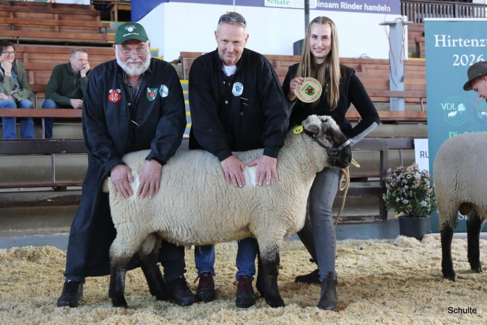 Die Preisrichter Burkhard Schmücker und Johann Trinkl freuen sich gemeinsam mit Alina Jochmann (PA Grünland GbR) über die beste Wolle. Für 1.600 € fuhr der Bock ins schöne Sauerland. (Foto: Heinrich Schulte)