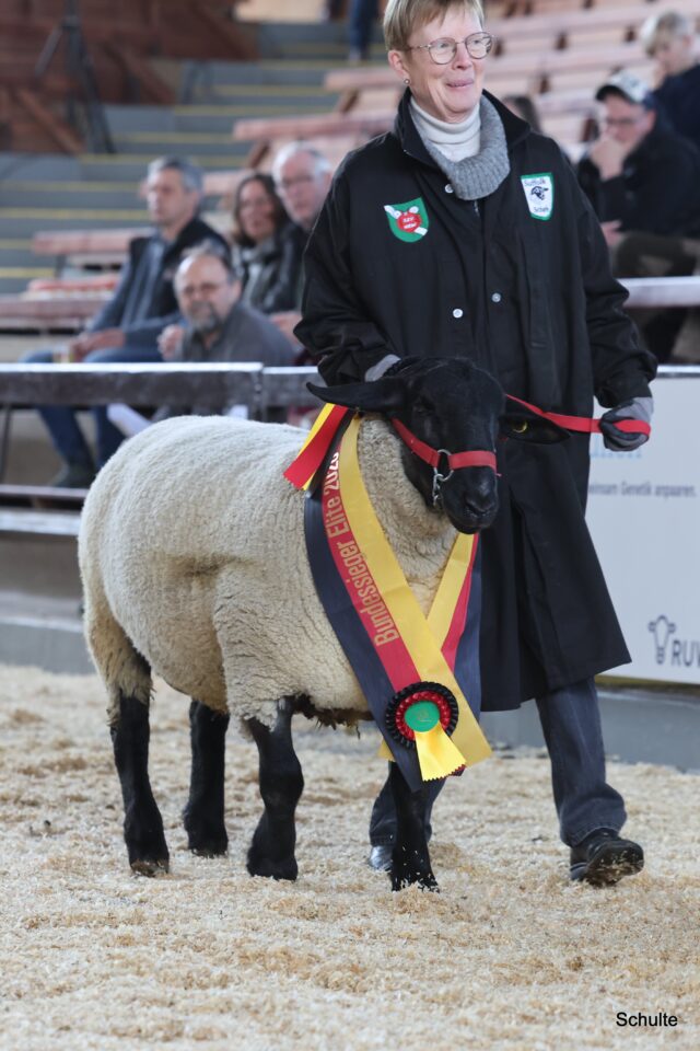 Siegertiervorstellung in Krefeld, Zucht Filies (Foto: Heinrich Schulte)