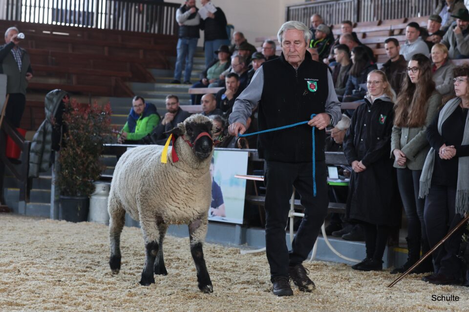 Siegertiervorstellung in Krefeld, Zucht Specht (Foto: Heinrich Schulte)