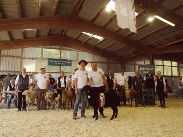 Die besten Zuchtschafe der Landschafrassen aus den Zuchten Iris Behrens aus Sprockhövel (Weiße Hornlose Heidschnucke, vorgeführt von Burkhardt Pfläging), Alexander Hamann, Herford (Weiße Gehörnte Heidschnucke), Claudia Schepp, Wilnsdorf (Coburger Fuchsschaf und Rhönschaf), Martin Busse, Hattingen (Rauhwolliges Pommersches Landschaf), Martin Sutter, Spenge (Coburger Fuchsschaf), Felix Schepp und Sascha Prüß (verdeckt). Rechts im Bild Preisrichter Andreas Humpert und Dr. Peter Richterich sowie Zuchtleiterin Fides Lenz. Vorn im Bild präsentiert Klaus-Louis Hanne gem. mit Björn Lütkemeier aus Remscheid die Landessiegerin, ein schwarzes Bergschaf.