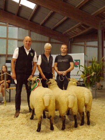 Familie Reckmann stellte u.a. Shropshire Mutterlämmer vor.