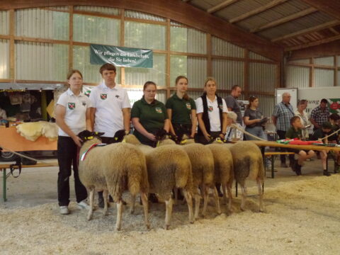 Prämierung der besten Mutterlämmer der Rasse RHO aus Zucht Claudia Schepp, Wilnsdorf. Das Ia-Schaf präsentiert Tochter Pia, gefolgt von Sohn Felix, in der Bildmitte Johanna Junge aus Lennestadt, Franzi Schneider aus Netphen und Claudia Schepp lauschen der Kommentierung der Preisrichter