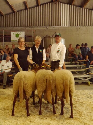 Martin Sutter konnte sich am zweiten Tag mit drei ausgeglichenen und rahmigen Söhnen der Rasse COF des Bockes „Hakon“ (gezogen in Weser-Ems) gegen drei weitere Sammlungen, vorgestellt von den Zuchten Antenbrink und Filies (beide SUF) sowie Wieschues (SWS) durchsetzen.